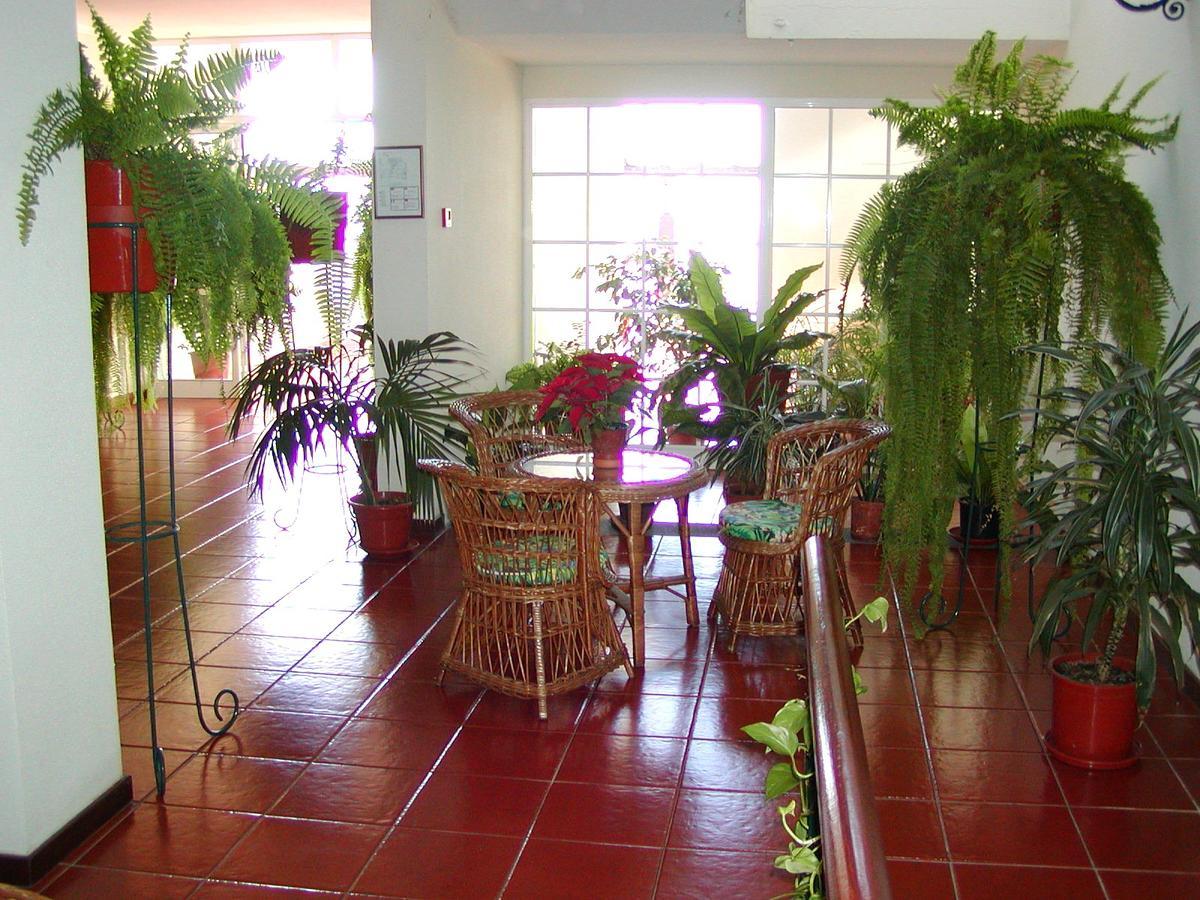 Vila Marta Funchal  Exterior foto